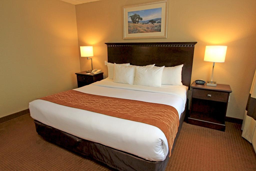 Comfort Suites Austin Airport Exterior foto
